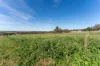 292 Carnaby Boulevard, Ginginup, WA 6503-Image