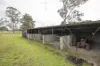 294 Wang Wauk Road, Wang Wauk, NSW 2423-Image