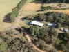 299 Jacksonii Avenue, Walpole, WA 6398-Image