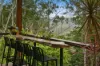 29A Walter Court, Wongawallan, Qld 4210-Image