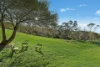 3/297 Tumbi Road, Wamberal, NSW 2260-Image