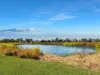 3 Harm Road, Forest Hill, Qld 4342-Image