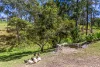 3 Hilda Close, Taree, NSW 2430-Image