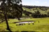 3 Lode Road, Ashbourne, SA 5157-Image