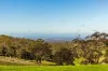 3 Lode Road, Ashbourne, SA 5157-Image