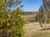 3 Lynda Court, Glencoe, Qld 4352-Image