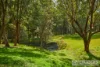 3 Rainforest Drive, Mitchells Island, NSW 2430-Image