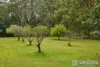 3 Rainforest Drive, Mitchells Island, NSW 2430-Image