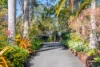 3 Woodland Drive, Reedy Creek, Qld 4227-Image