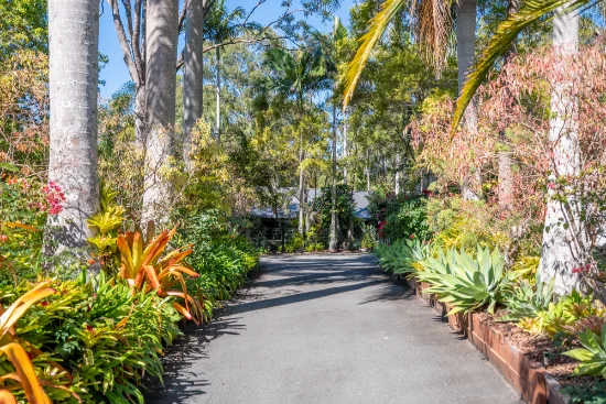 3 Woodland Drive, Reedy Creek, Qld 4227-Image