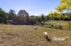 30 Amamoor Creek Road, Amamoor, Qld 4570-Image