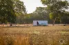 30 Brookman Road, Meadows, SA 5201-Image