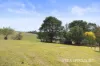 30 Henrys Lane, Korumburra, Vic 3950-Image