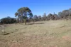 300 Mount Mackenzie Road, Tenterfield, NSW 2372-Image