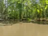 300 Sunrise Road, Doonan, Qld 4562-Image