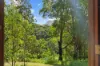 300 Sunrise Road, Doonan, Qld 4562-Image