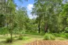 300 Sunrise Road, Doonan, Qld 4562-Image