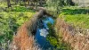 3004 Golden Highway, Gungal, NSW 2333-Image