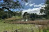 301 Whites Road, Flaxley, SA 5153-Image