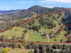 3015 Maleny Kenilworth Road, Cambroon, Qld 4552