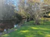 302 Freemans Dr, Cooranbong, NSW 2265-Image