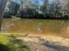 302 Freemans Dr, Cooranbong, NSW 2265-Image