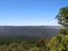 302 Hapgood Road, Landsborough, Qld 4550-Image