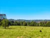 304 Eltham Road, Eltham, NSW 2480-Image