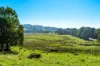 304 Eltham Road, Eltham, NSW 2480-Image