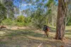 306 Hilldale Road, Hilldale, NSW 2420-Image