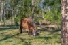 306 Hilldale Road, Hilldale, NSW 2420-Image