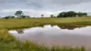 30730 Burnett Highway, Three Moon, Qld 4630-Image