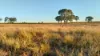 30730 Burnett Highway, Three Moon, Qld 4630-Image
