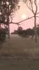 30730 Burnett Highway, Three Moon, Qld 4630-Image