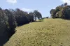 309 Lower Buckra Bendinni Road, Buckra Bendinni, NSW 2449-Image