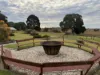 31 Behs Road, South Nanango, Qld 4615-Image