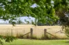310 Sproules Lane, Glenquarry, NSW 2576-Image
