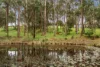 313 Grose Wold Road, Grose Wold, NSW 2753-Image
