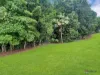 314 Upper Daradgee Rd, Upper Daradgee, Qld 4860-Image