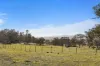 3150 Jerangle Road, Jerangle, NSW 2630-Image