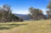 3150 Jerangle Road, Jerangle, NSW 2630-Image
