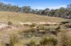 3150 Jerangle Road, Jerangle, NSW 2630-Image