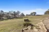 3150 Jerangle Road, Jerangle, NSW 2630-Image