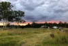 318  Glen Echo Drive, Glen Echo, Qld 4570-Image