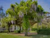 319 Old Koonwarra - Meeniyan Road, Koonwarra, Vic 3954-Image
