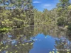 32 Bohnock Road, Bohnock, NSW 2430-Image