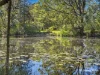 32 Bohnock Road, Bohnock, NSW 2430-Image