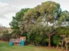 32 Carpenters Lane, Hastings, Vic 3915-Image