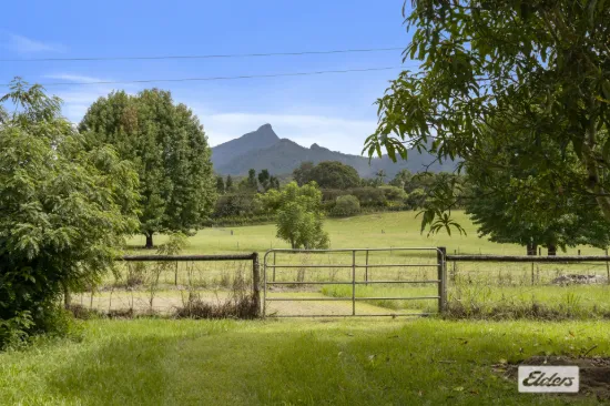 32 Chowan Creek Road, Rowlands Creek, NSW 2484-Image