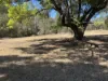 32 Copeton Dam Road, Bingara, NSW 2404-Image
